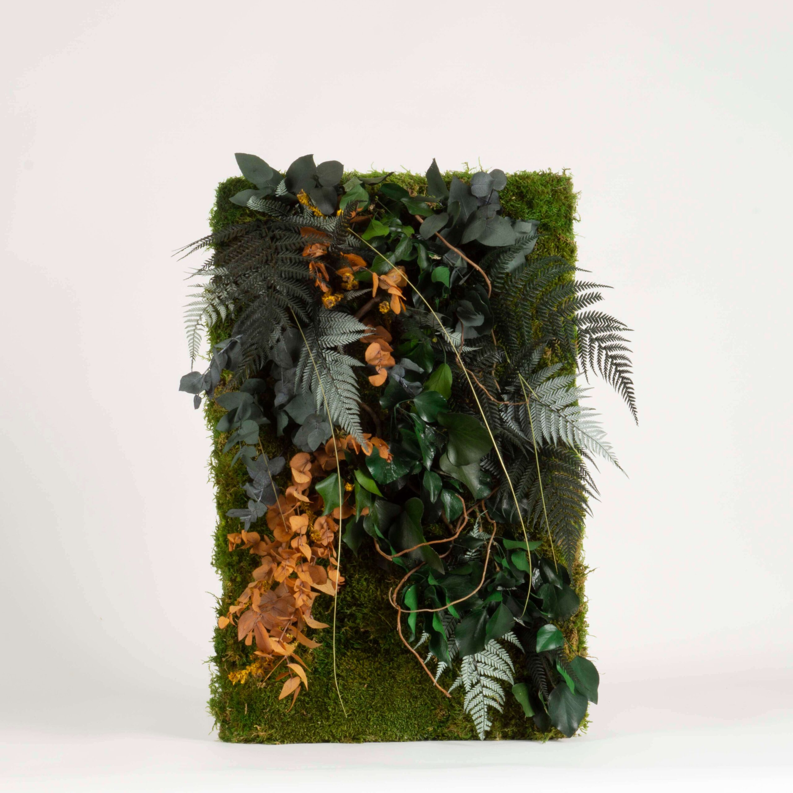 Quadro Cornice di Muschio