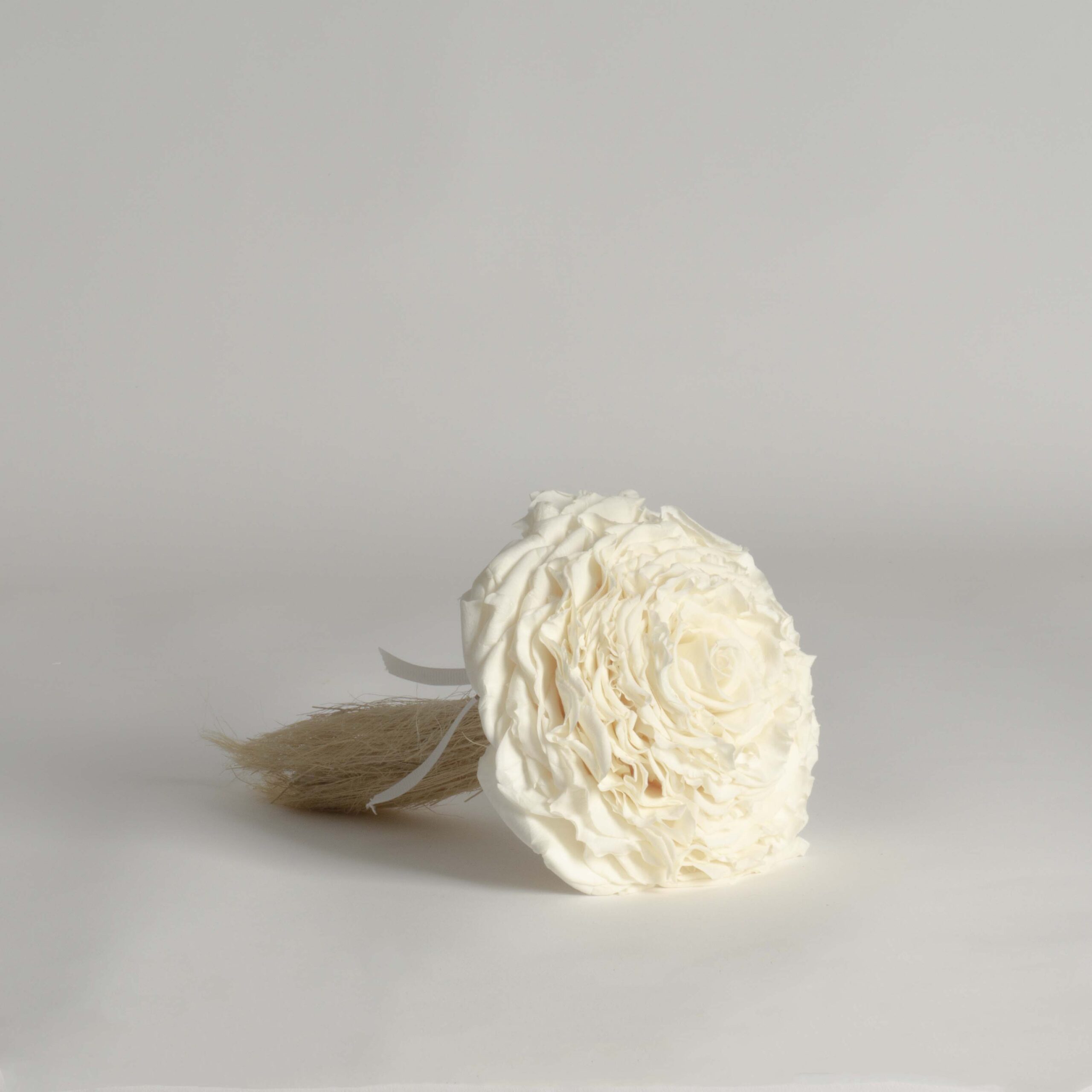 Rosmelia crema stabilizzata