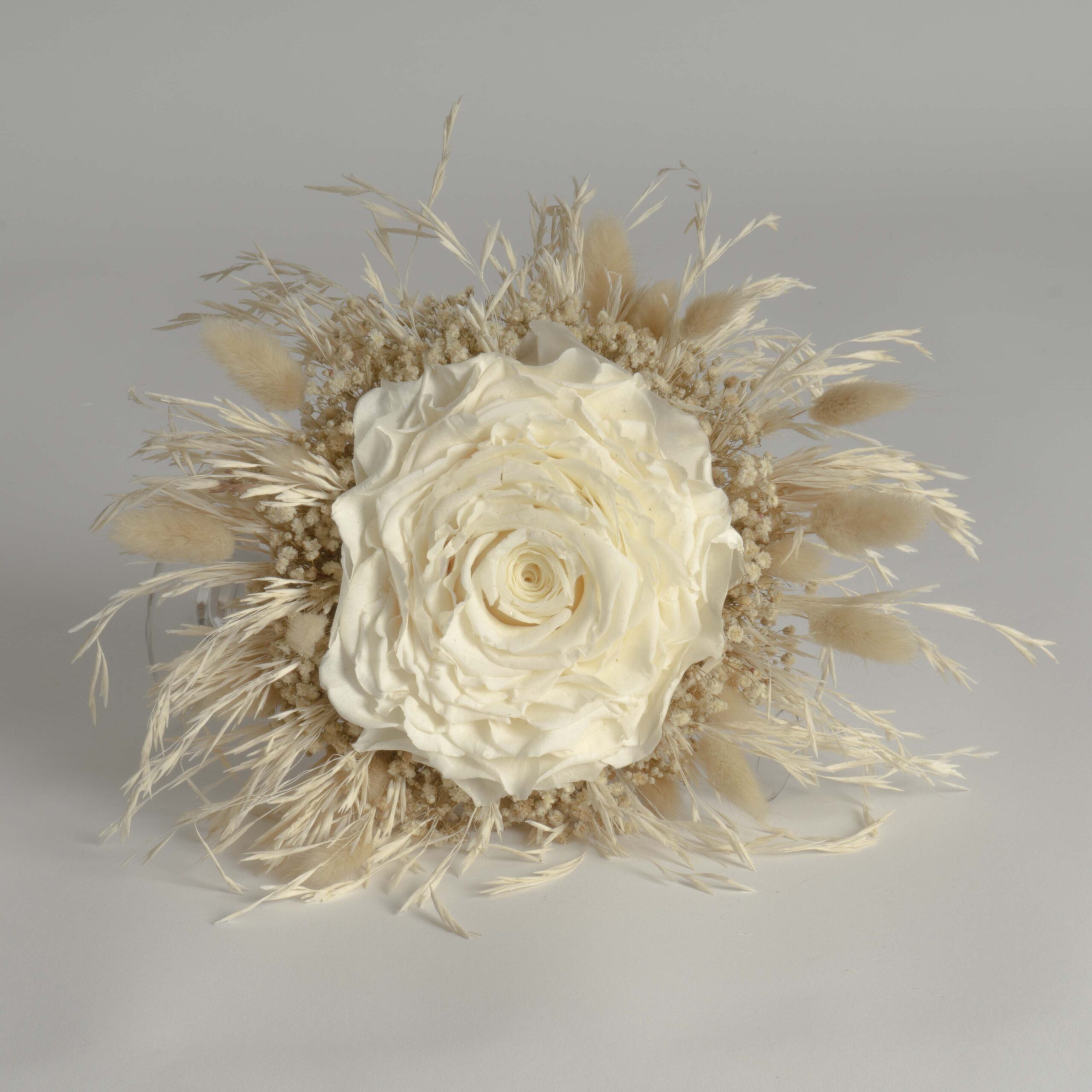 Rosmelia Fiori stabilizzati - immagine 2