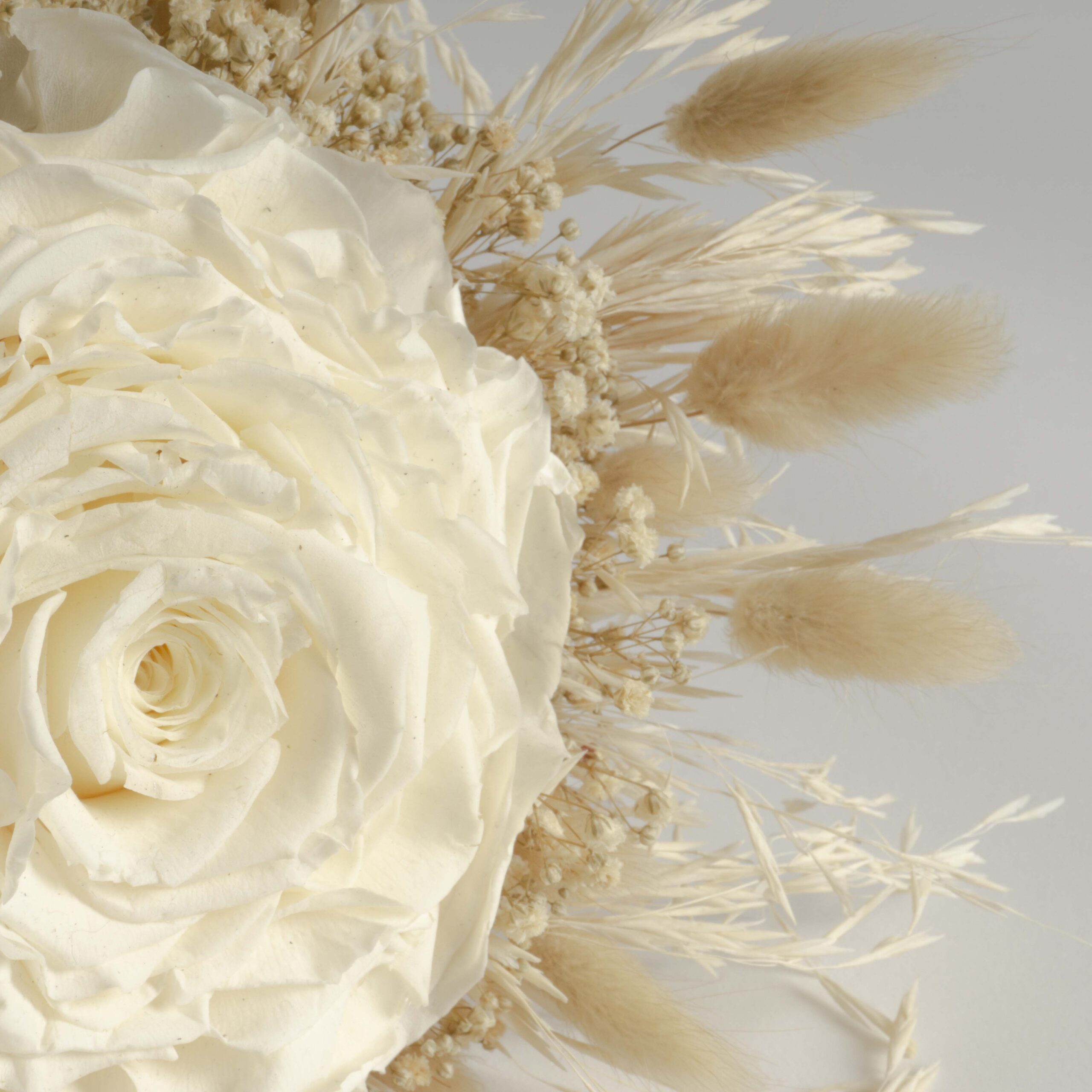 Rosmelia Fiori stabilizzati - immagine 5
