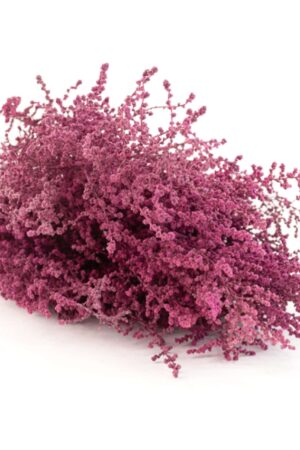 Stoebe Bizantinum