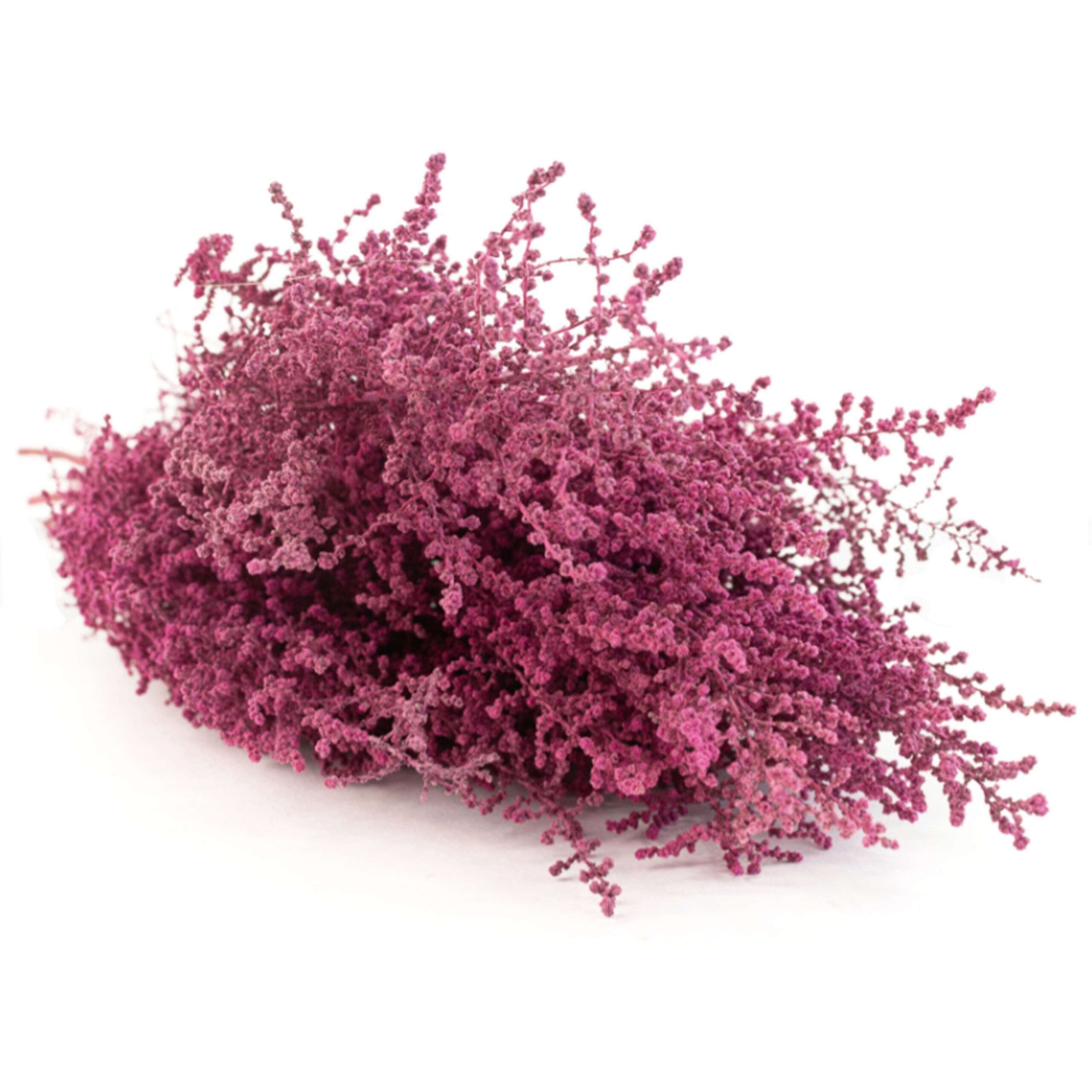 Stoebe Bizantinum