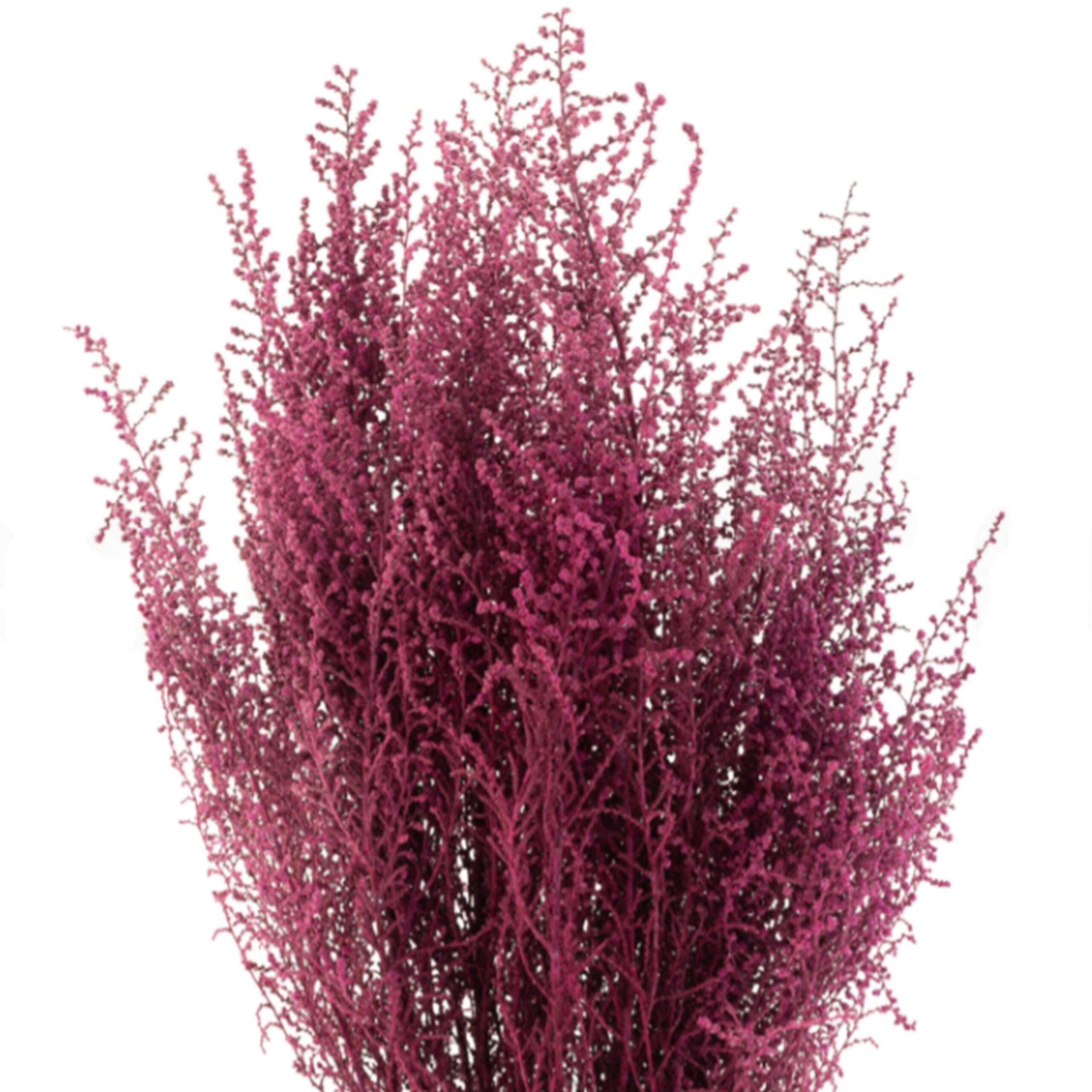Stoebe Bizantinum - immagine 2