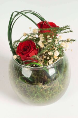 Ball San Valentino