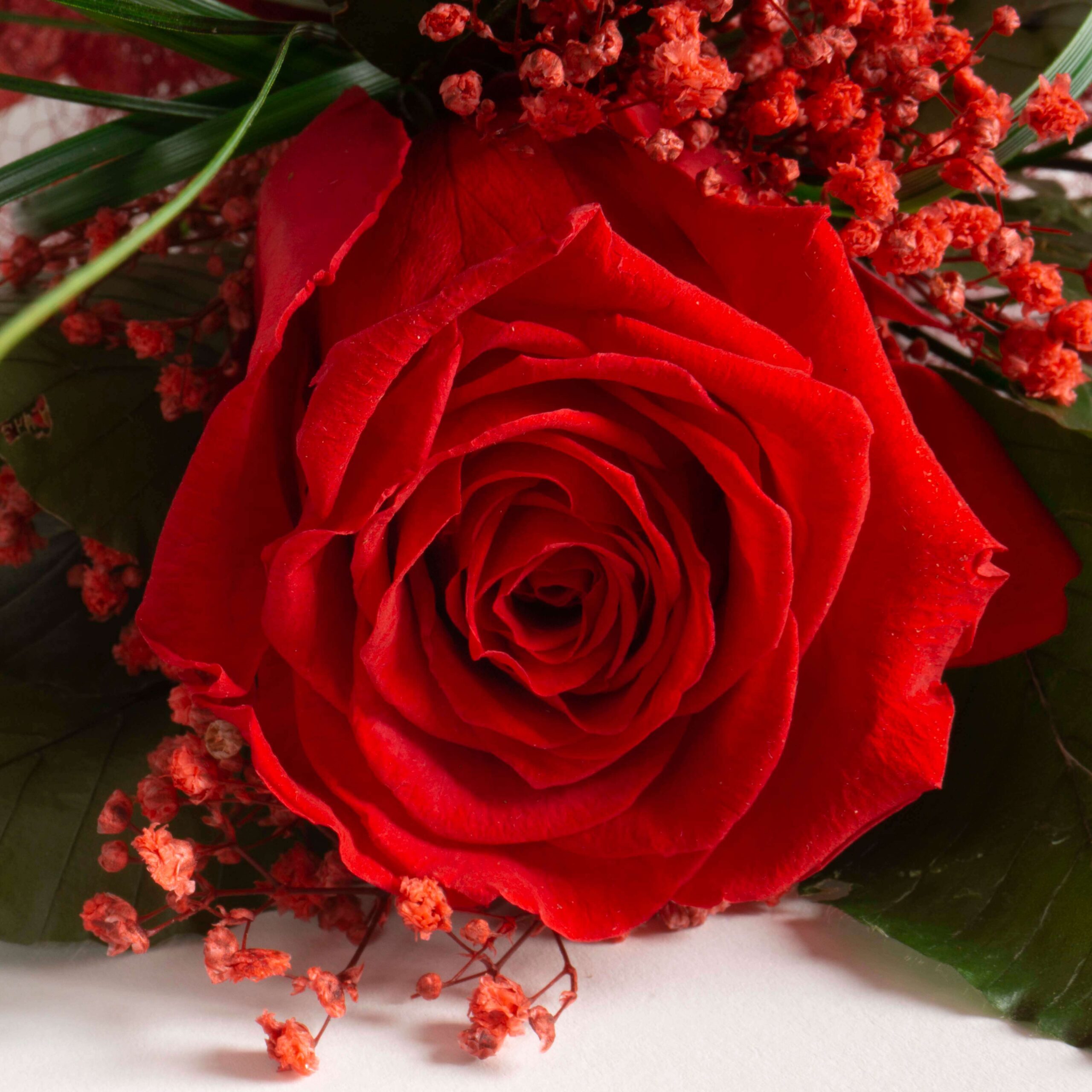 Bouquet Rosa San Valentino - immagine 4