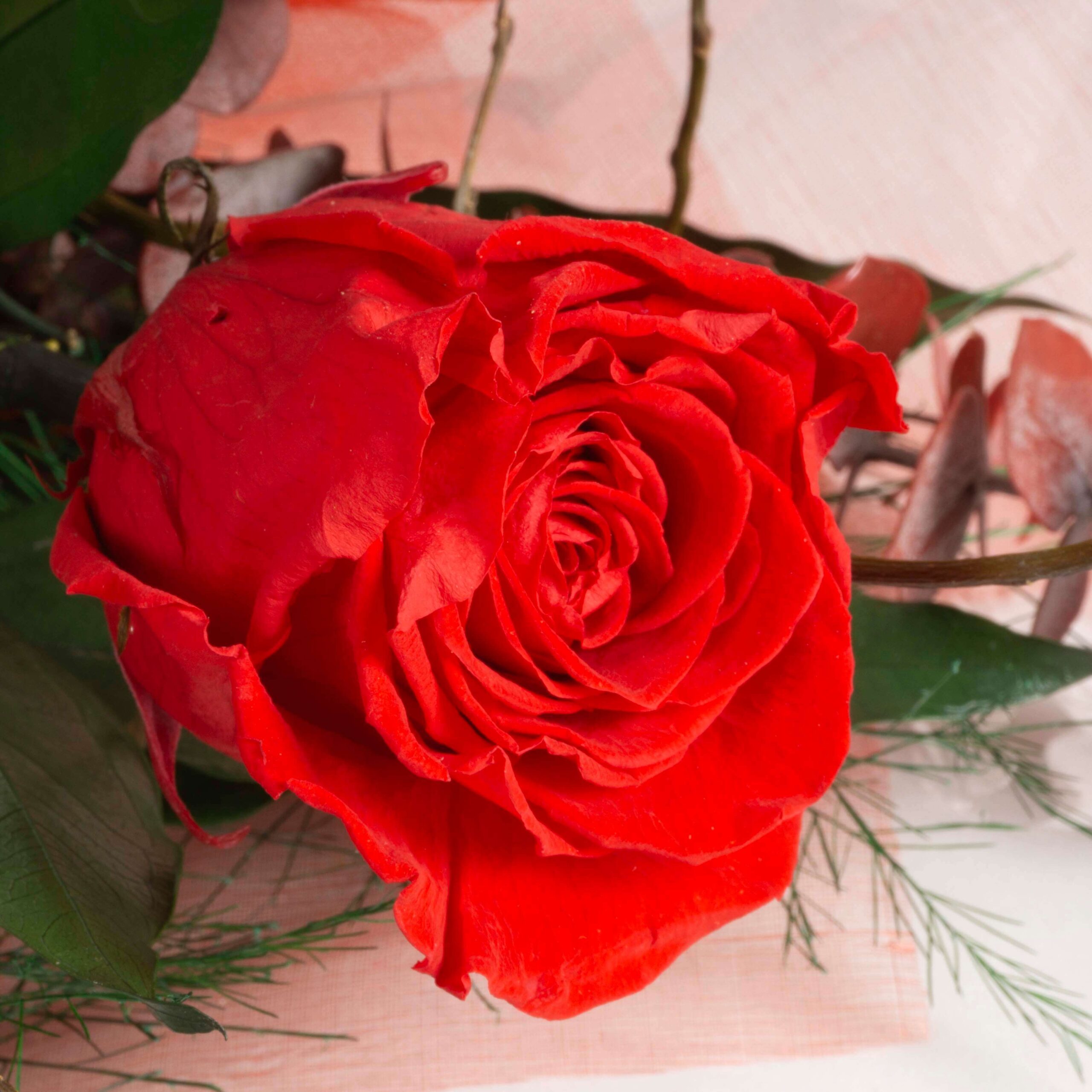 Bouquet Rosa stabilizzata - immagine 5