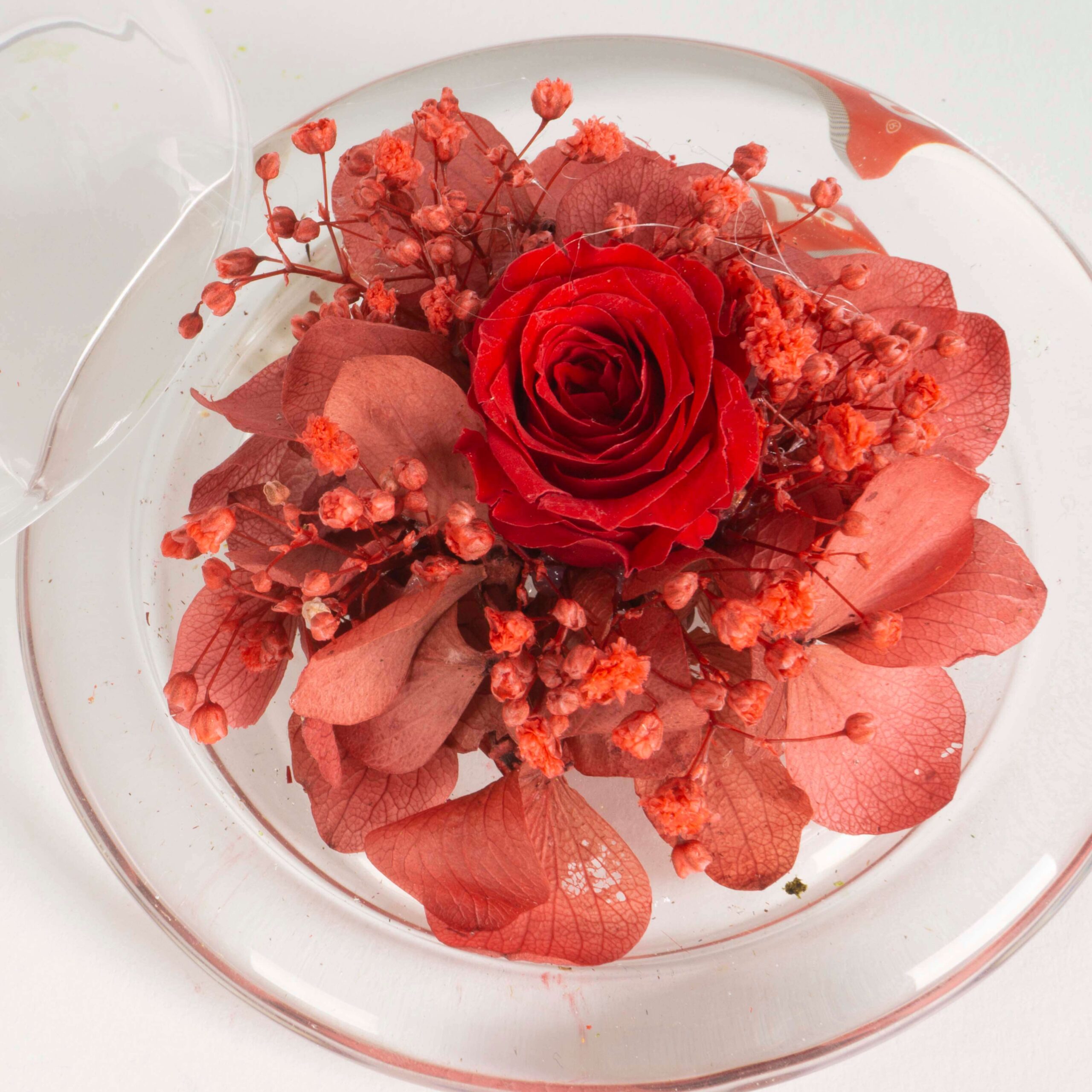 Campana di vetro Fiori stabilizzati - immagine 3