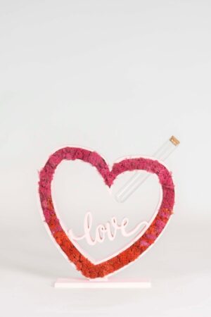 Cuore con scritta LOVE e Lichene