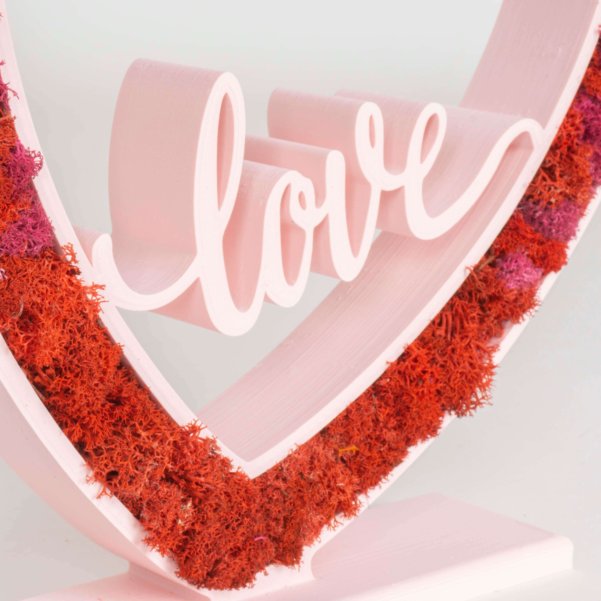 Cuore con scritta LOVE e Lichene - immagine 4