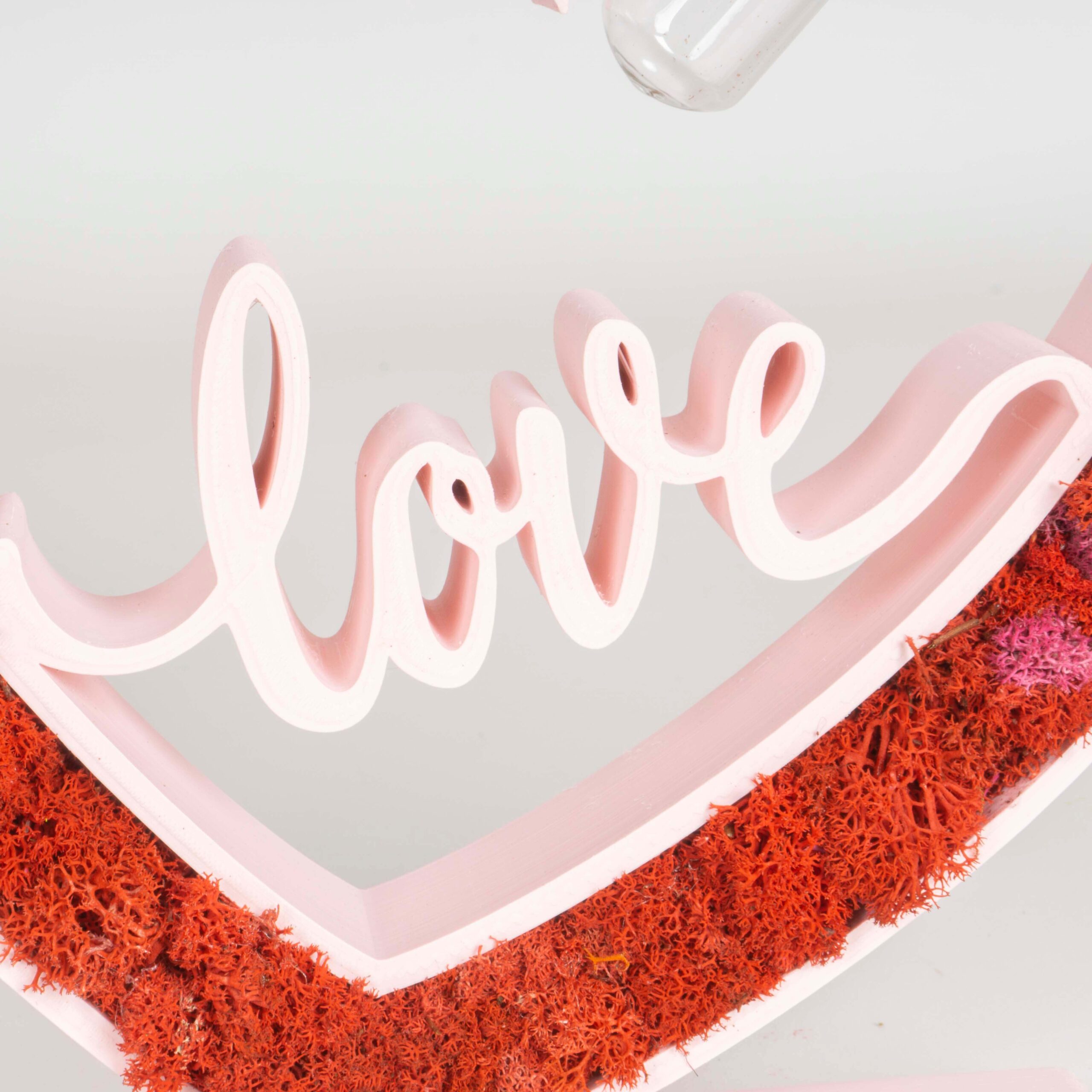 Cuore con scritta LOVE e Lichene - immagine 5