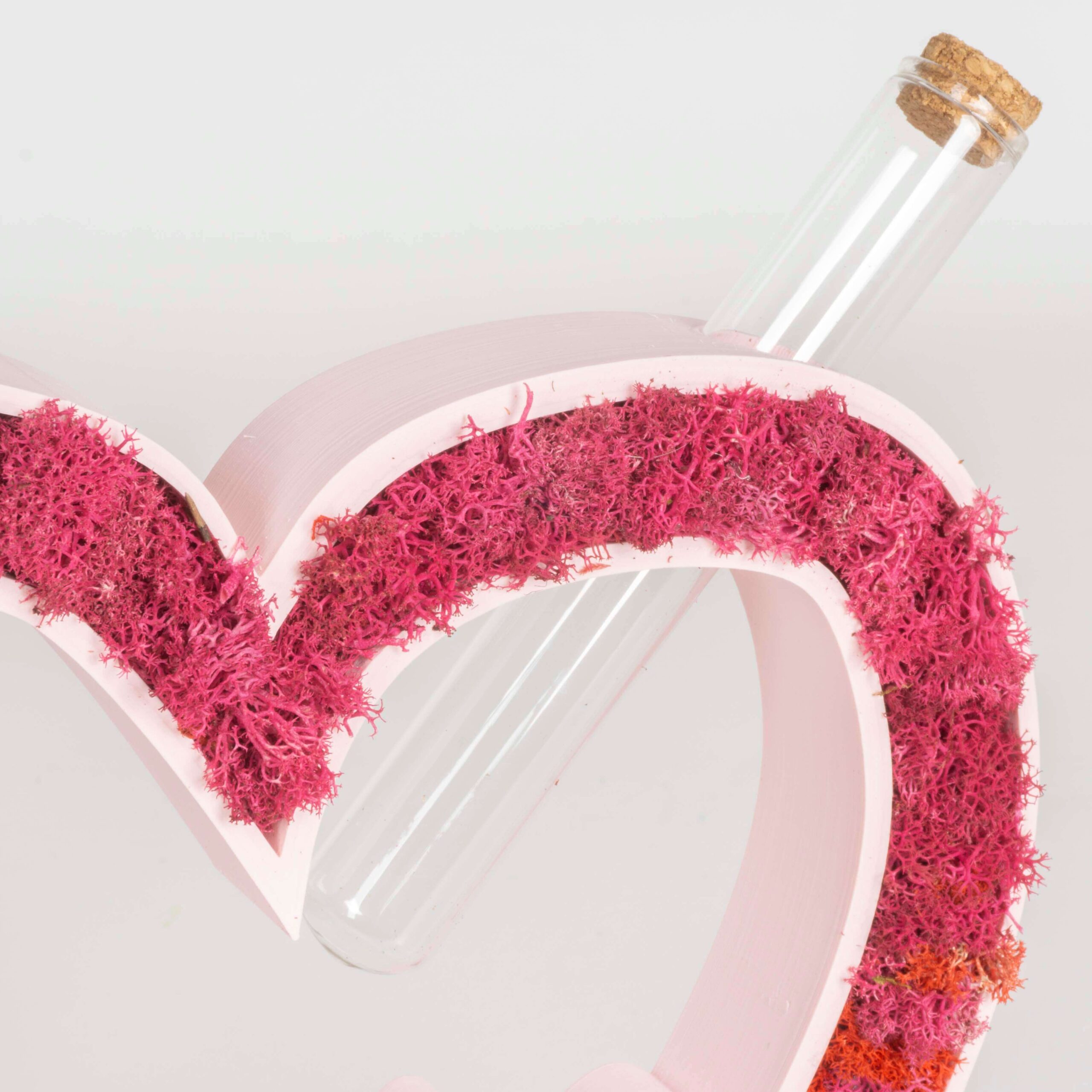 Cuore con scritta LOVE e Lichene - immagine 6