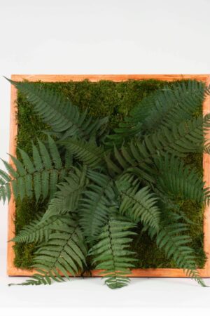 Quadro Tropicale