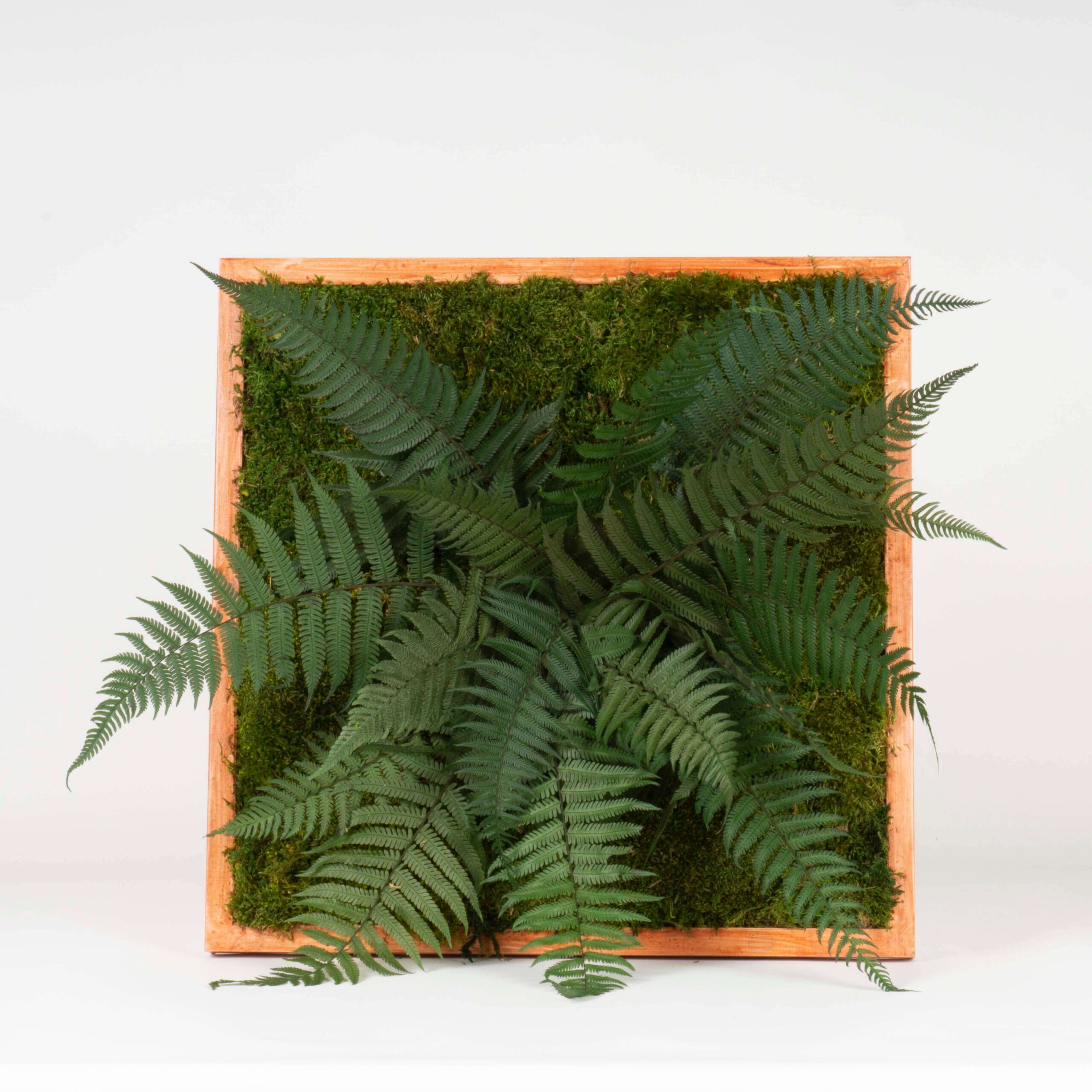 Quadro Tropicale