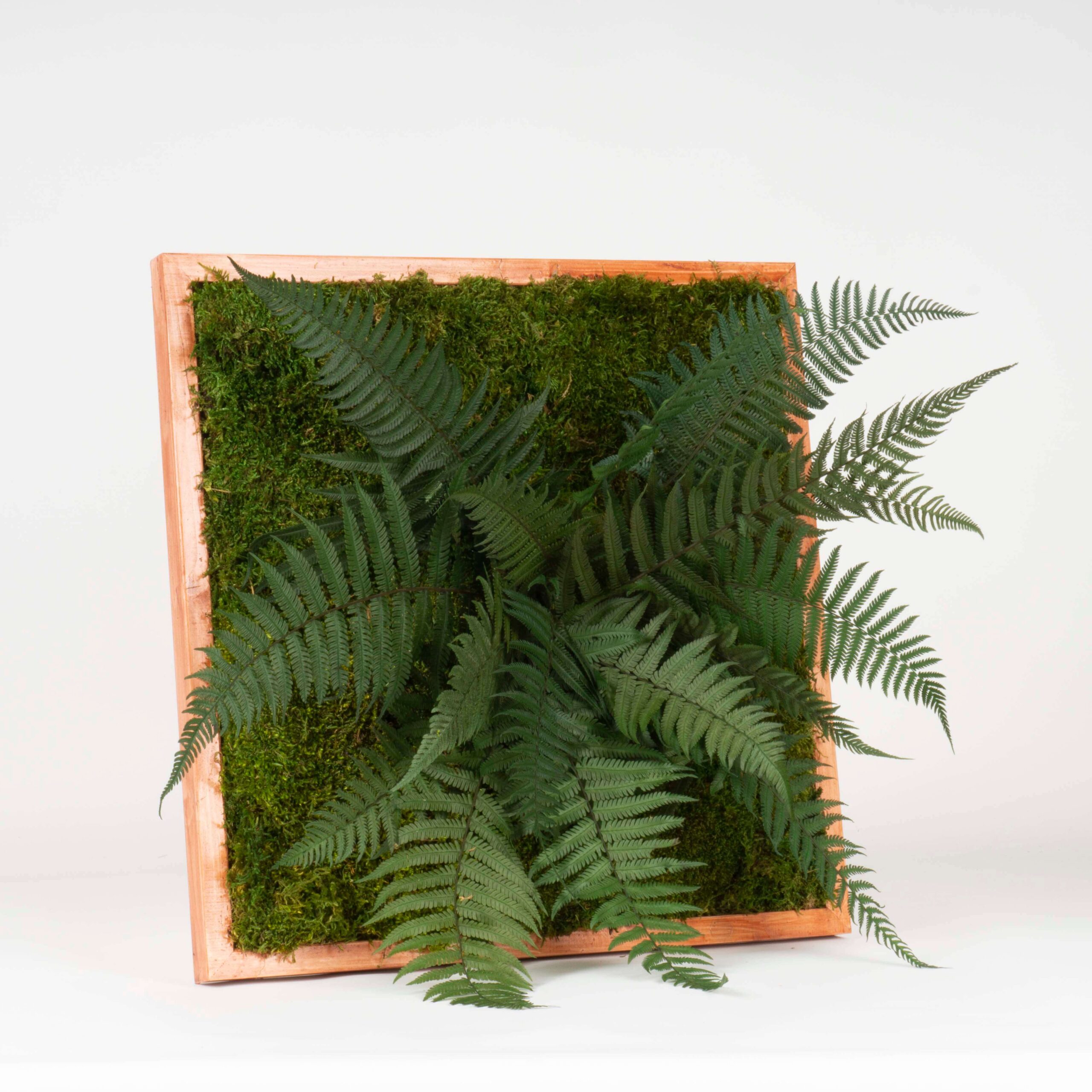 Quadro Tropicale - immagine 2