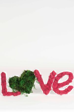 Scritta LOVE muschio e lichene