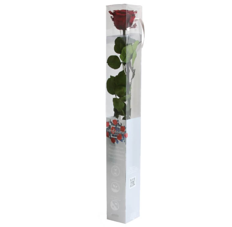 Rosa con stelo borgogna - immagine 2