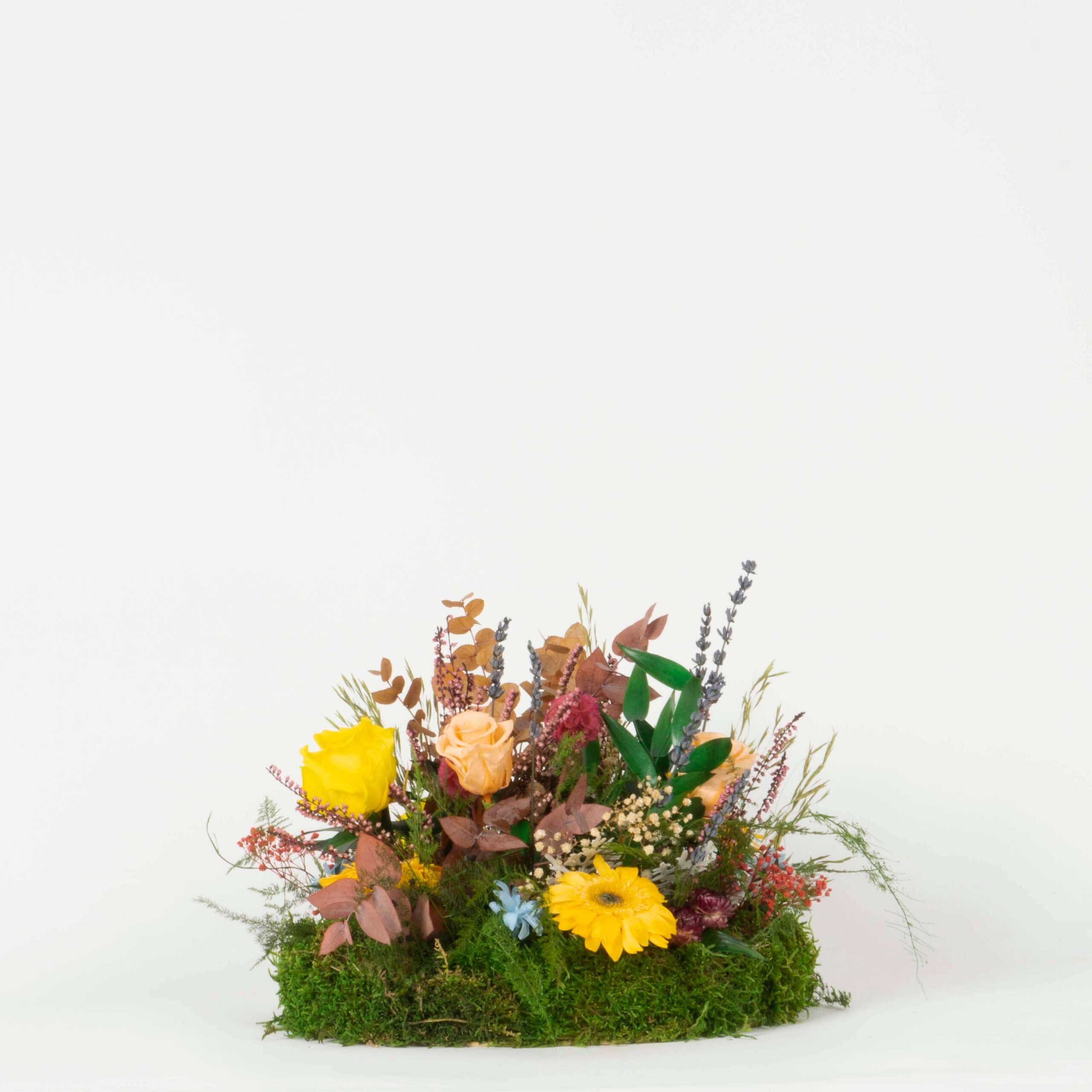 Composizione Primavera