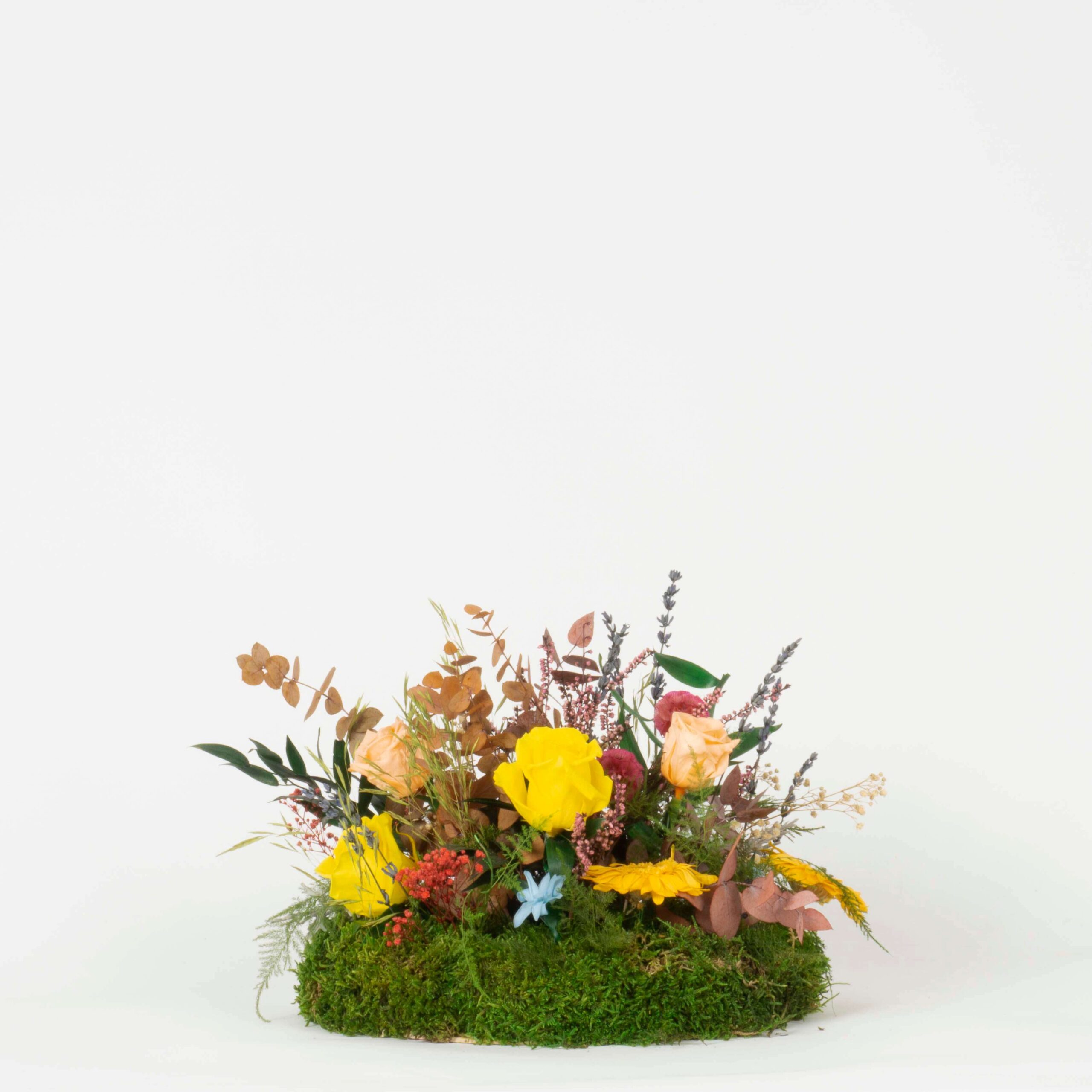 Composizione Primavera - immagine 2