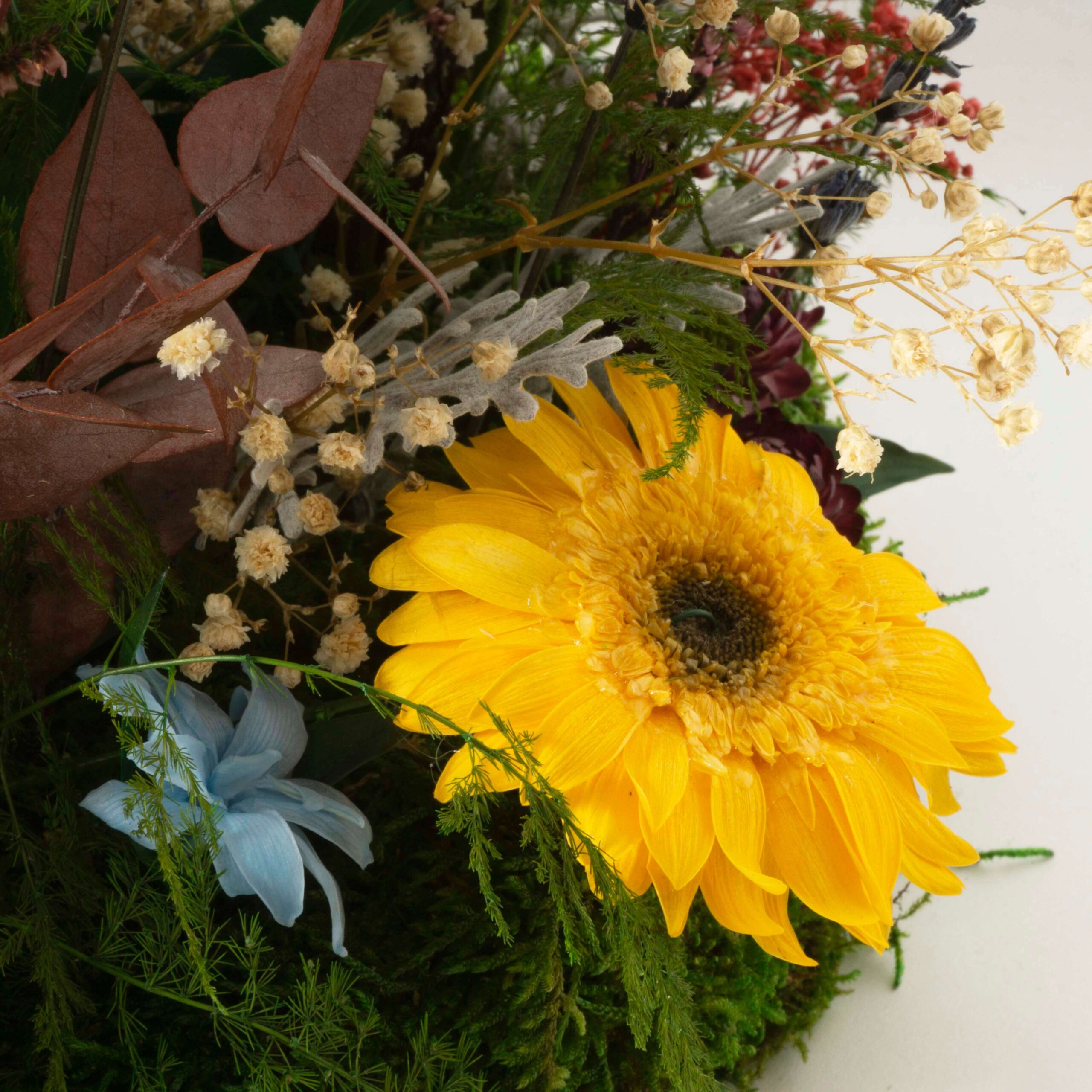 Composizione Primavera - immagine 3