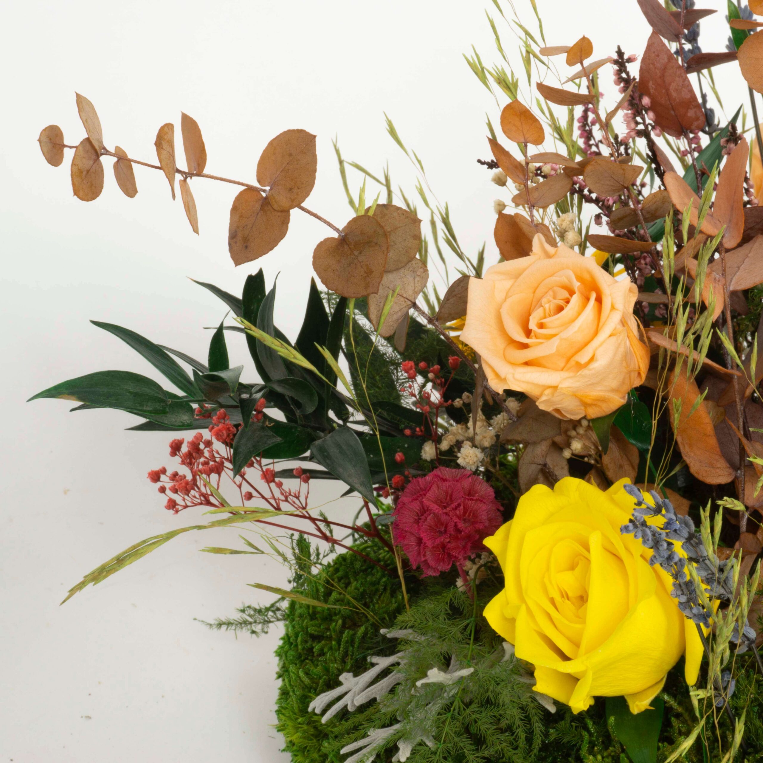 Composizione Primavera - immagine 4