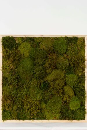 Quadro Bosco