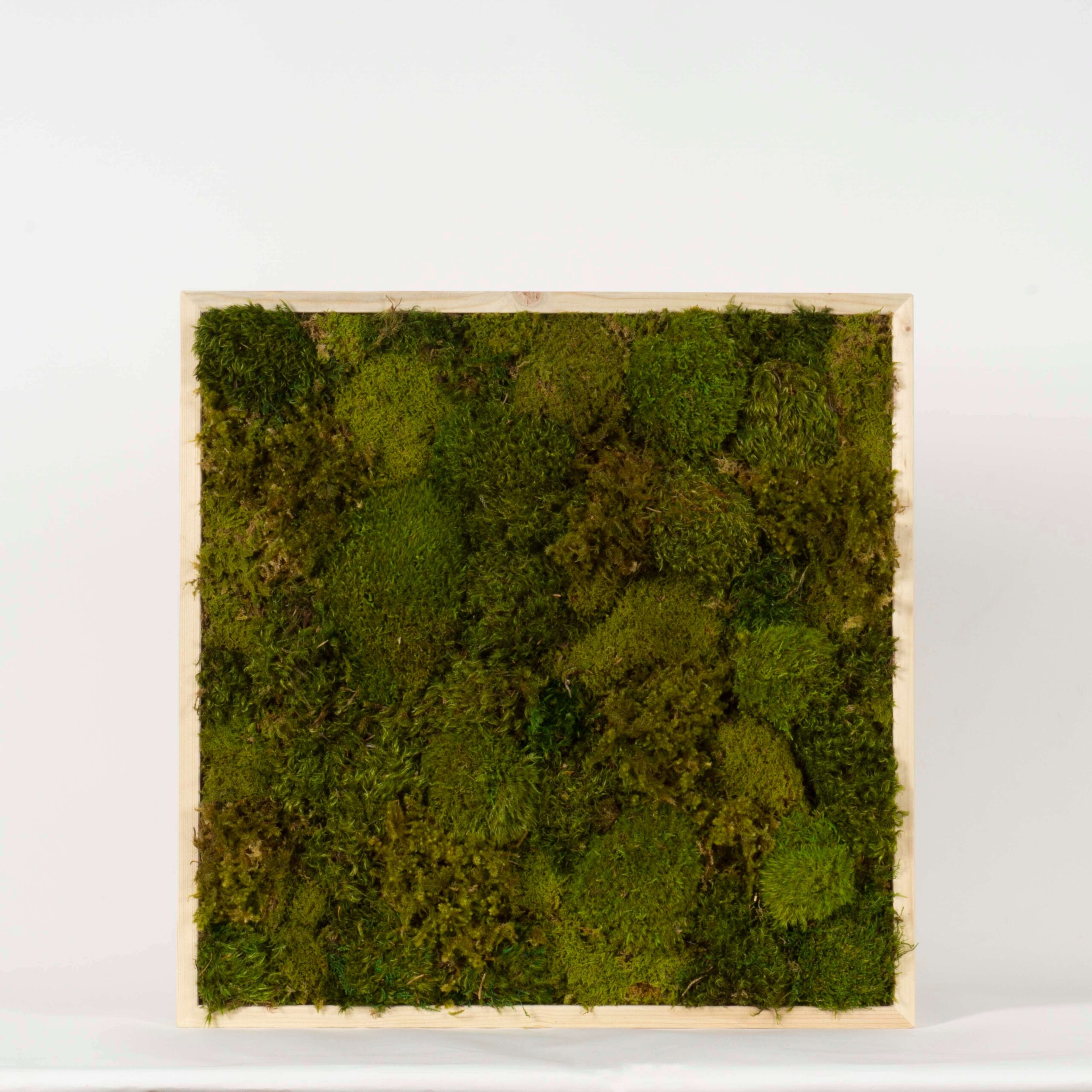 Quadro Bosco