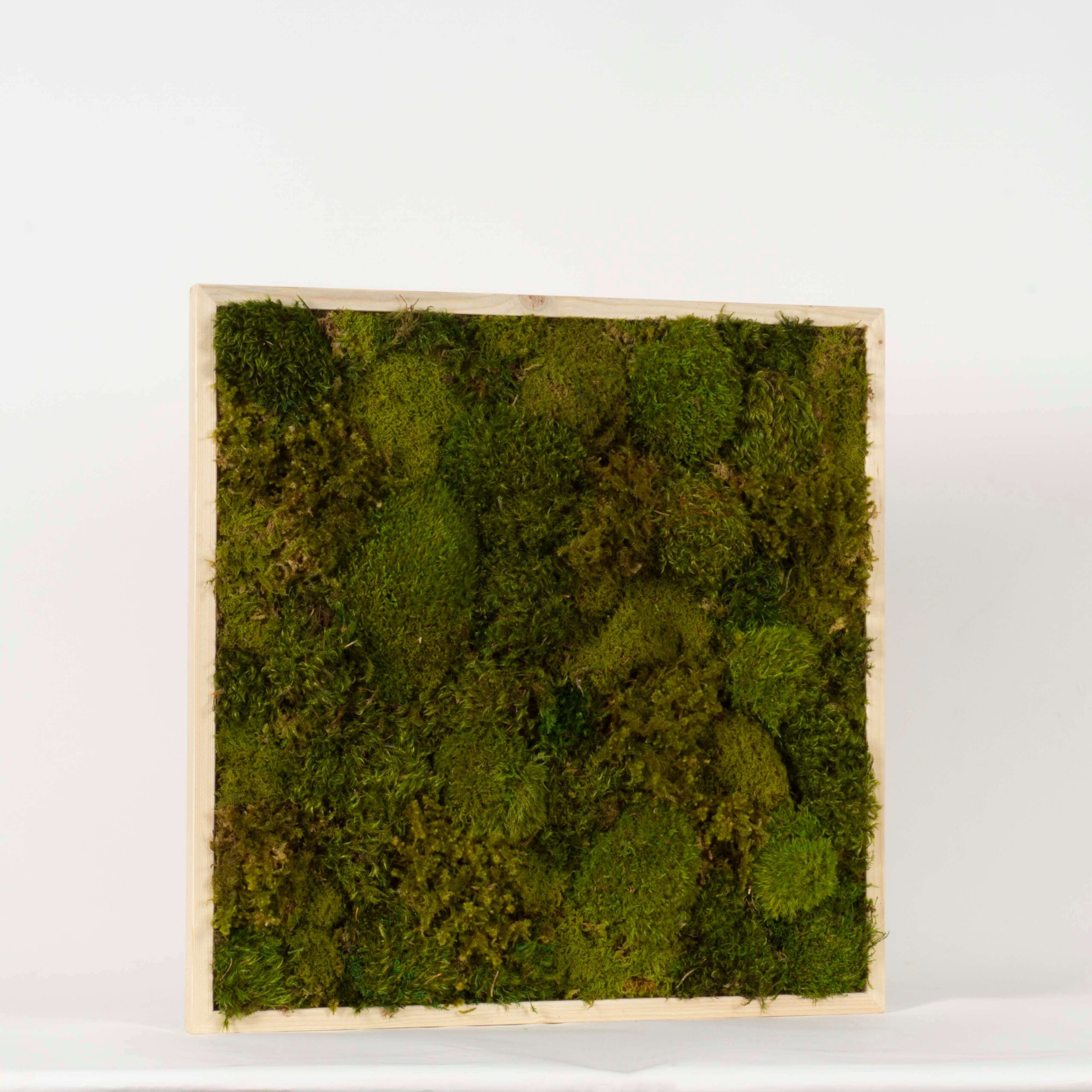 Quadro Bosco - immagine 2