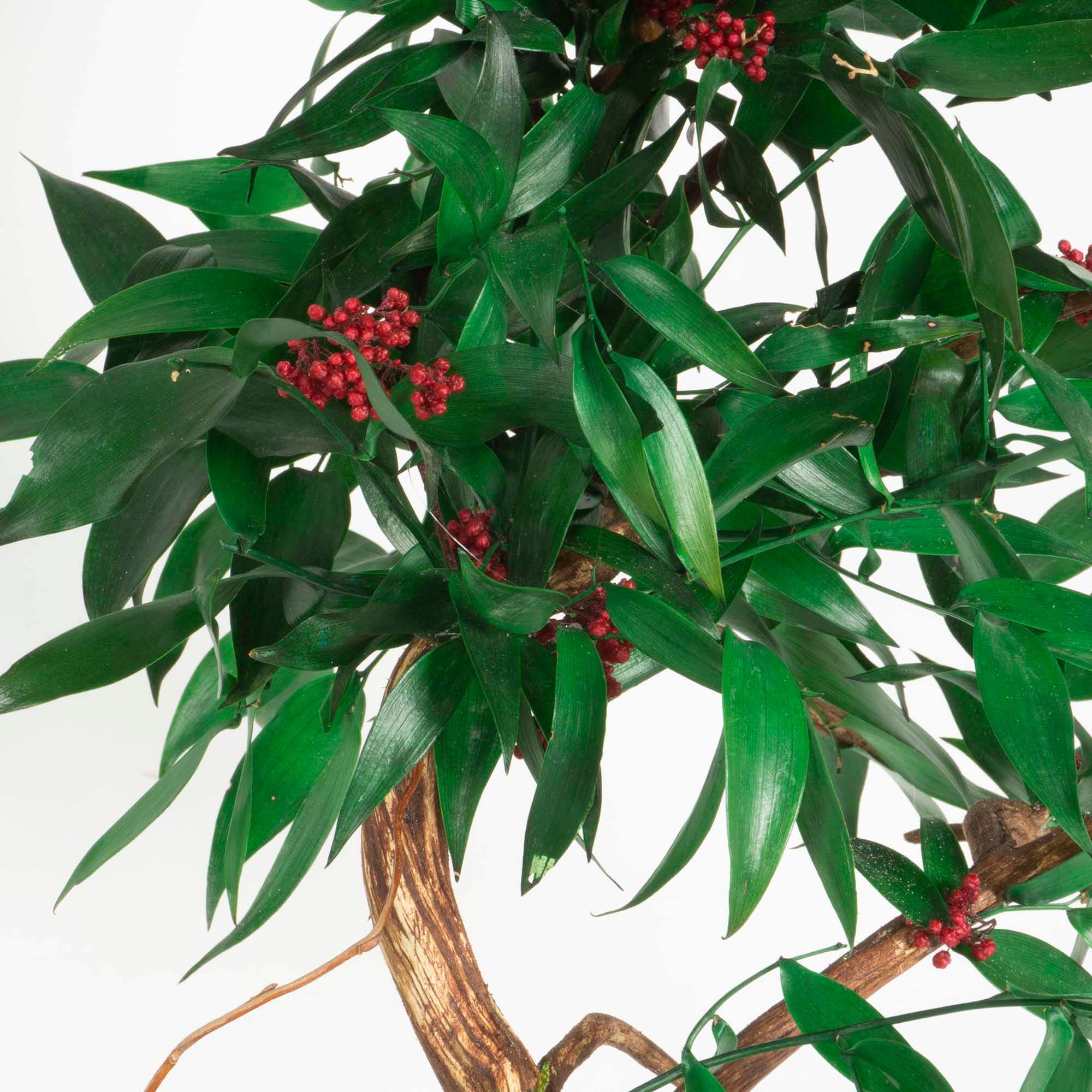 Bonsai Ruscus e fiori - immagine 3