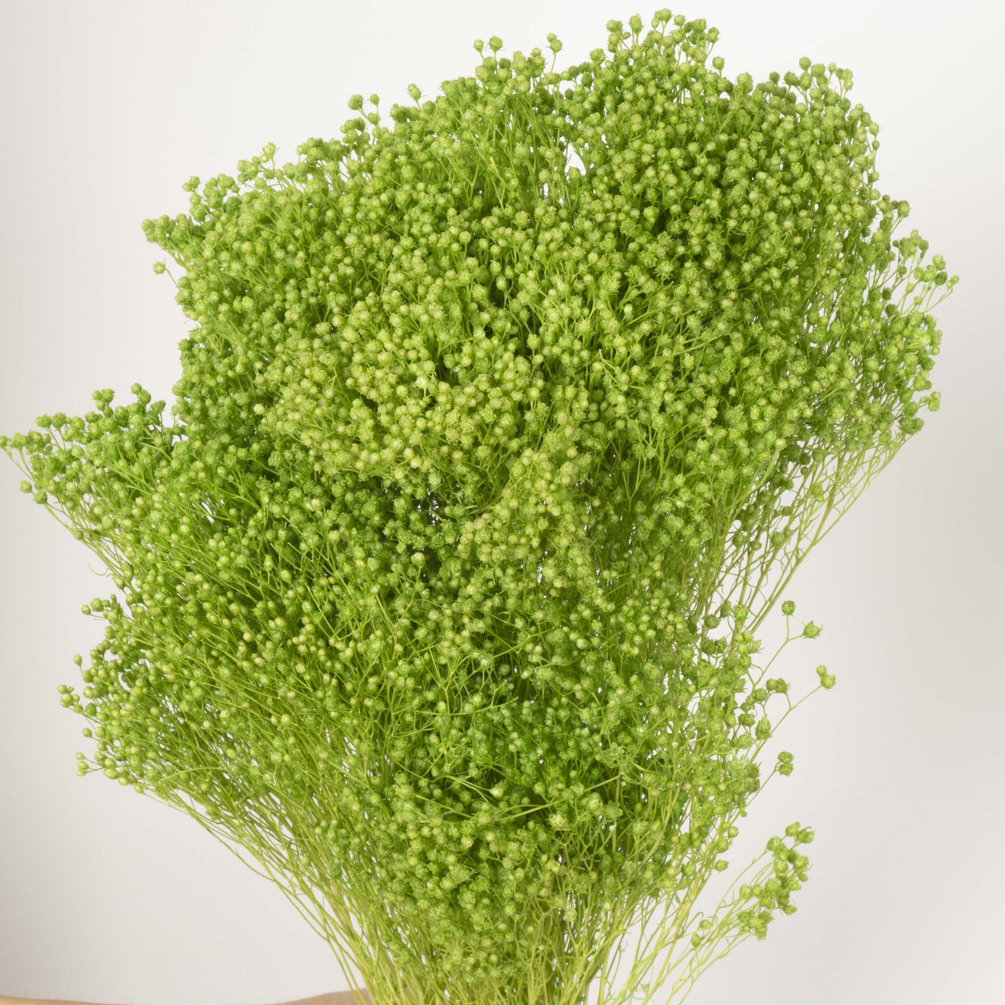Broom verde chiaro - immagine 2