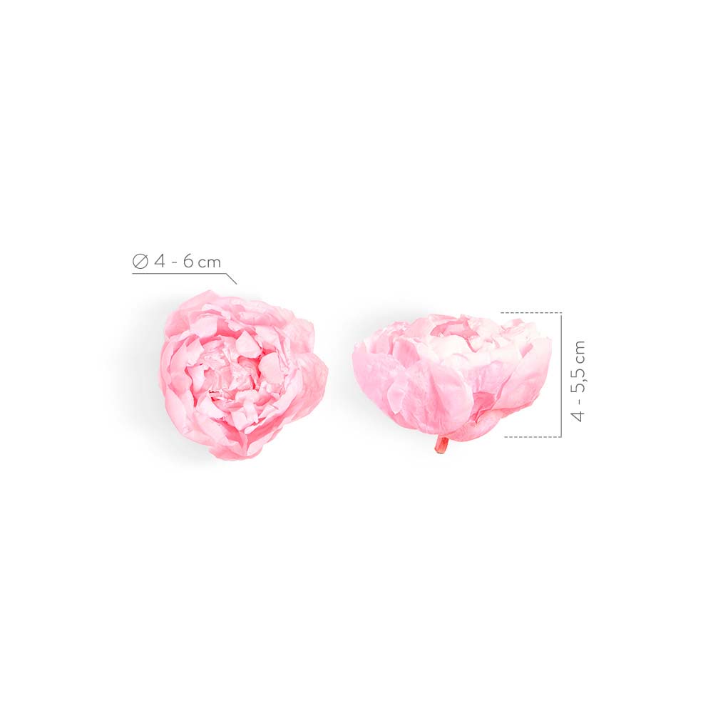 Box Peonia stabilizzata - immagine 4