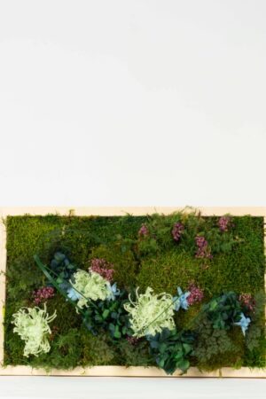 Quadro Fiori stabilizzati