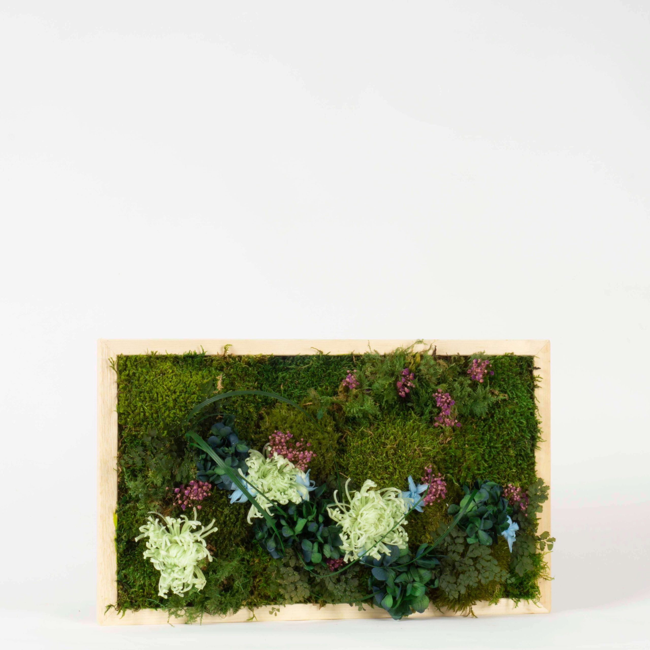 Quadro Fiori stabilizzati - immagine 2