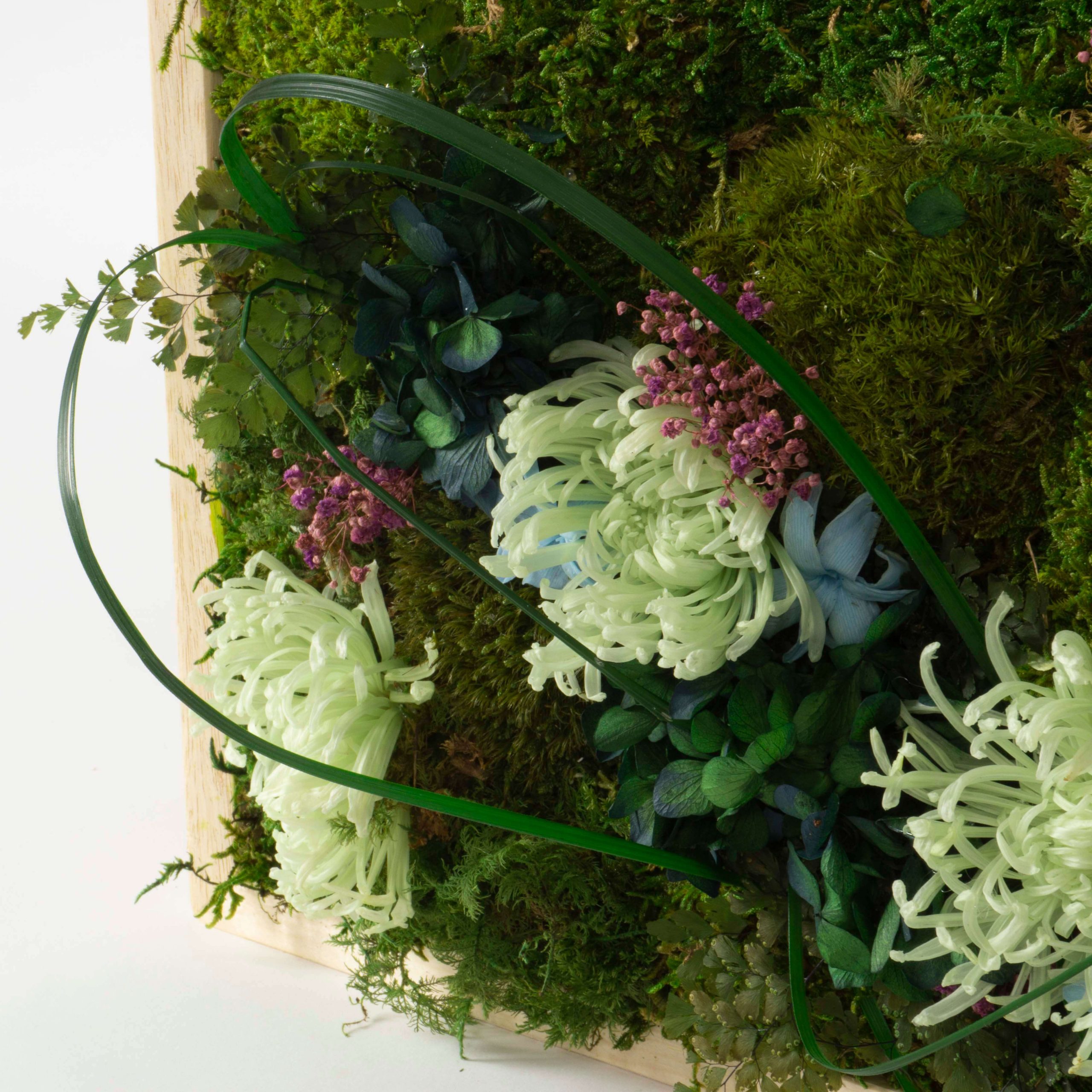 Quadro Fiori stabilizzati - immagine 3