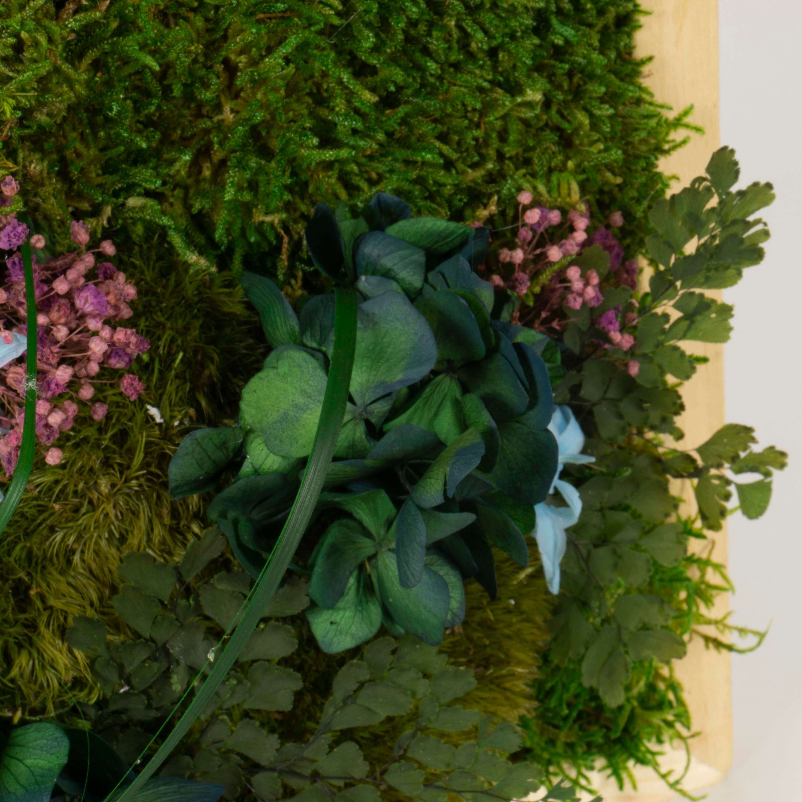 Quadro Fiori stabilizzati - immagine 5