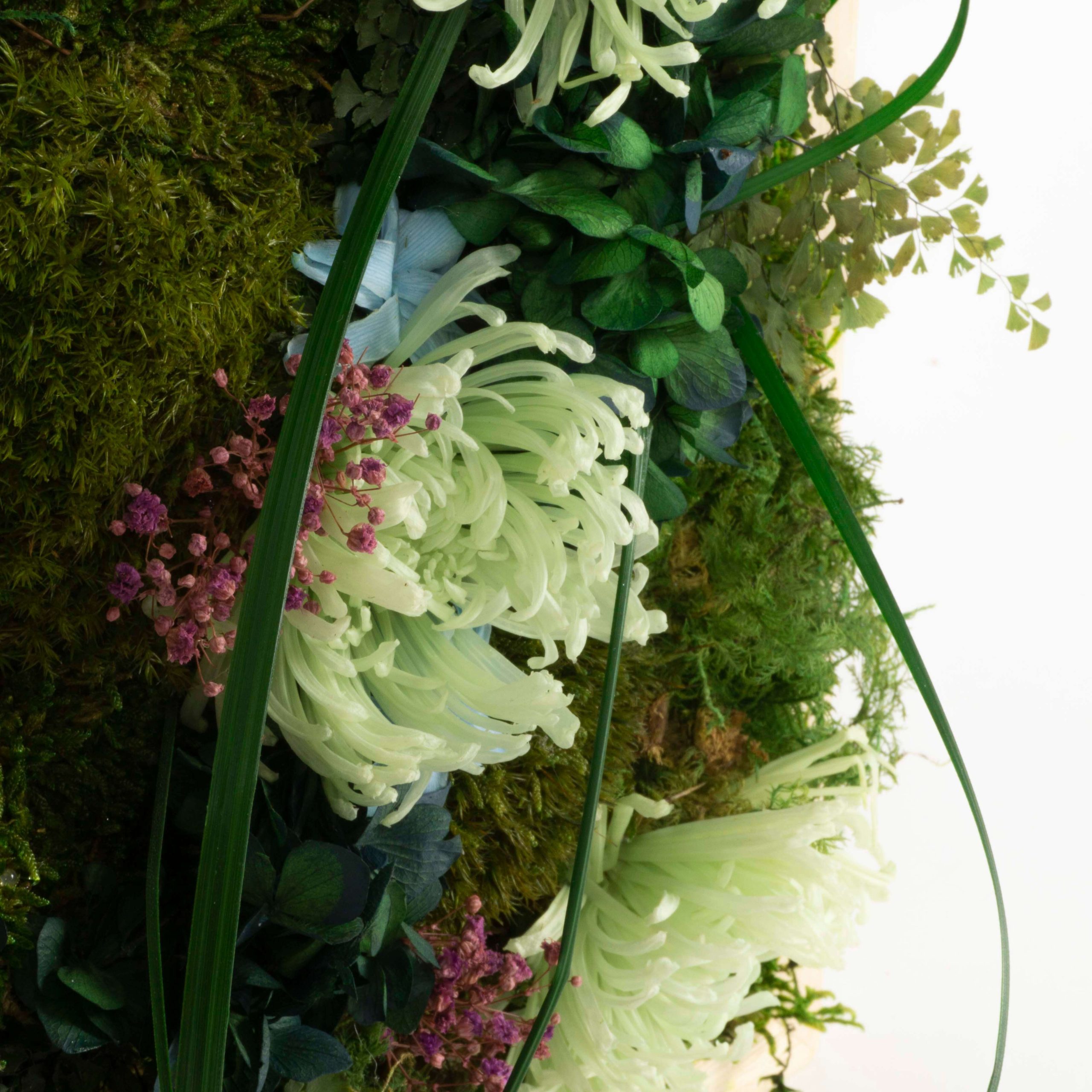 Quadro Fiori stabilizzati - immagine 6