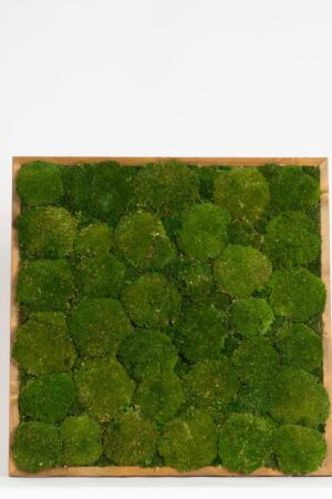 Quadro Muschio roccioso