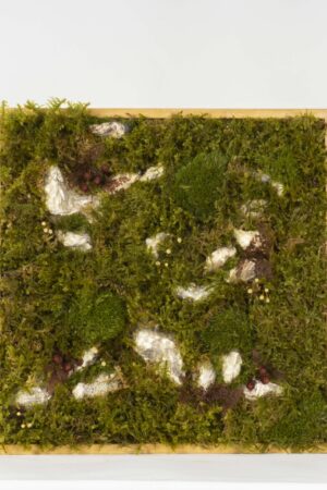 Quadro Roccia e Lamponi
