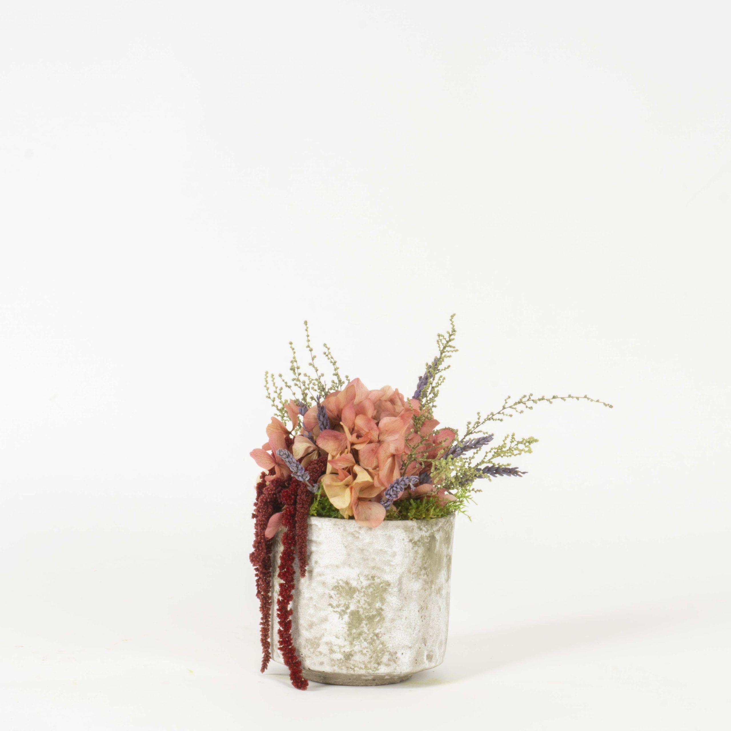 Vasetto Provenza - immagine 2