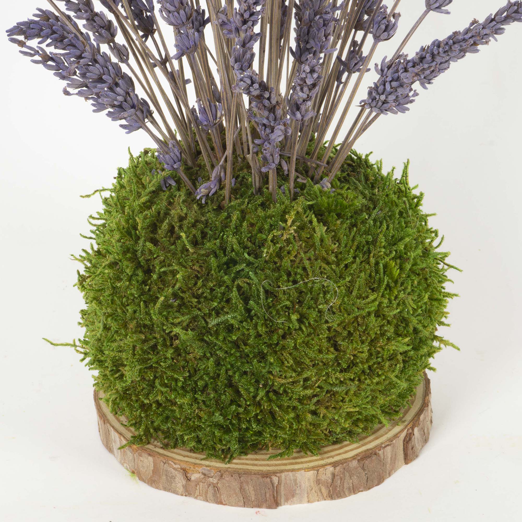 Kokedama Lavanda - immagine 3