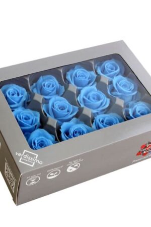 Box Rose Mini Azzurro