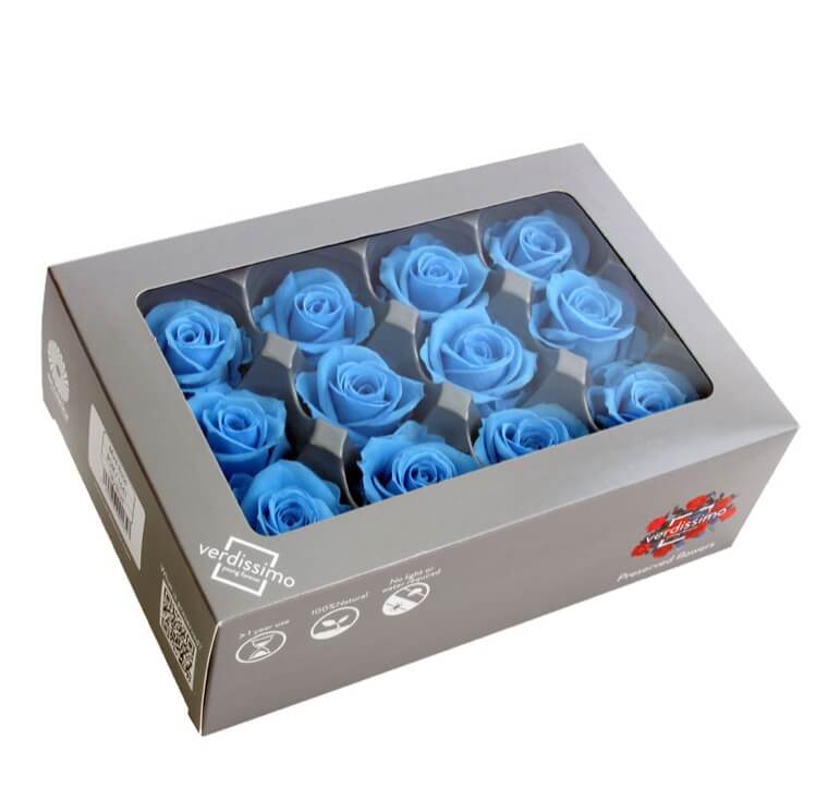 Box Rose Mini Azzurro