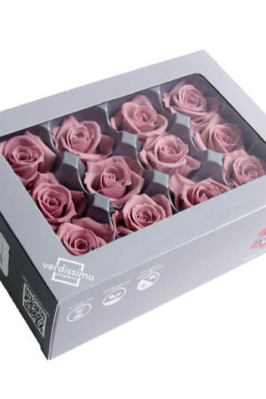 Box Rose Mini Cherry