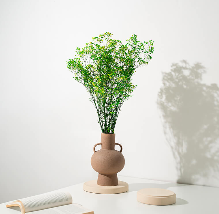 Gypsophila Verde Lime - immagine 3