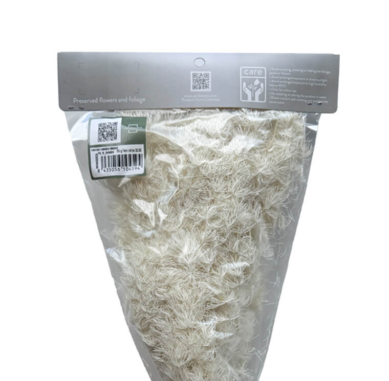 Ming Fern Bianco - immagine 3