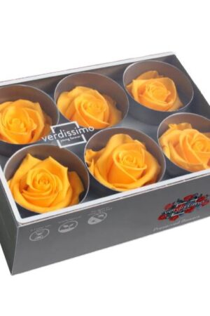 Box rosa standard giallo caldo