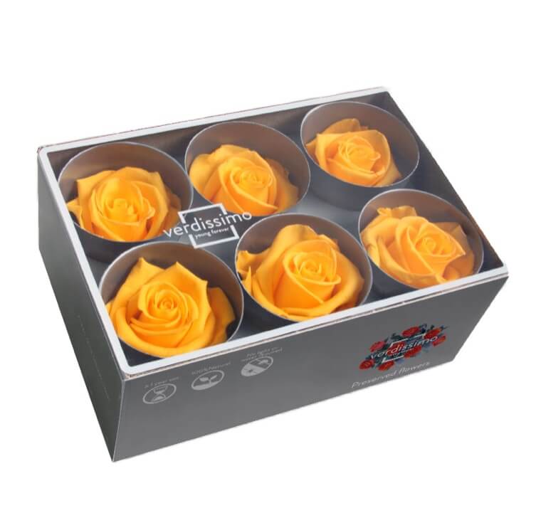 Box rosa standard giallo caldo