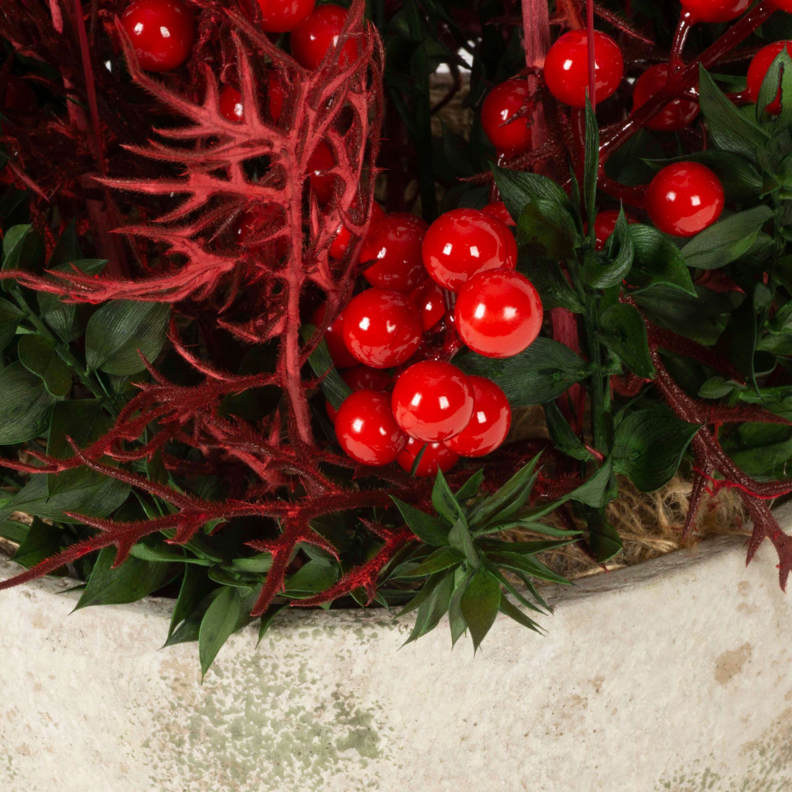 Composizione Pungitopo - immagine 3