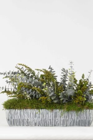 Composizione Giardino in Fiore