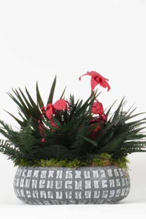 Composizione Hawaii