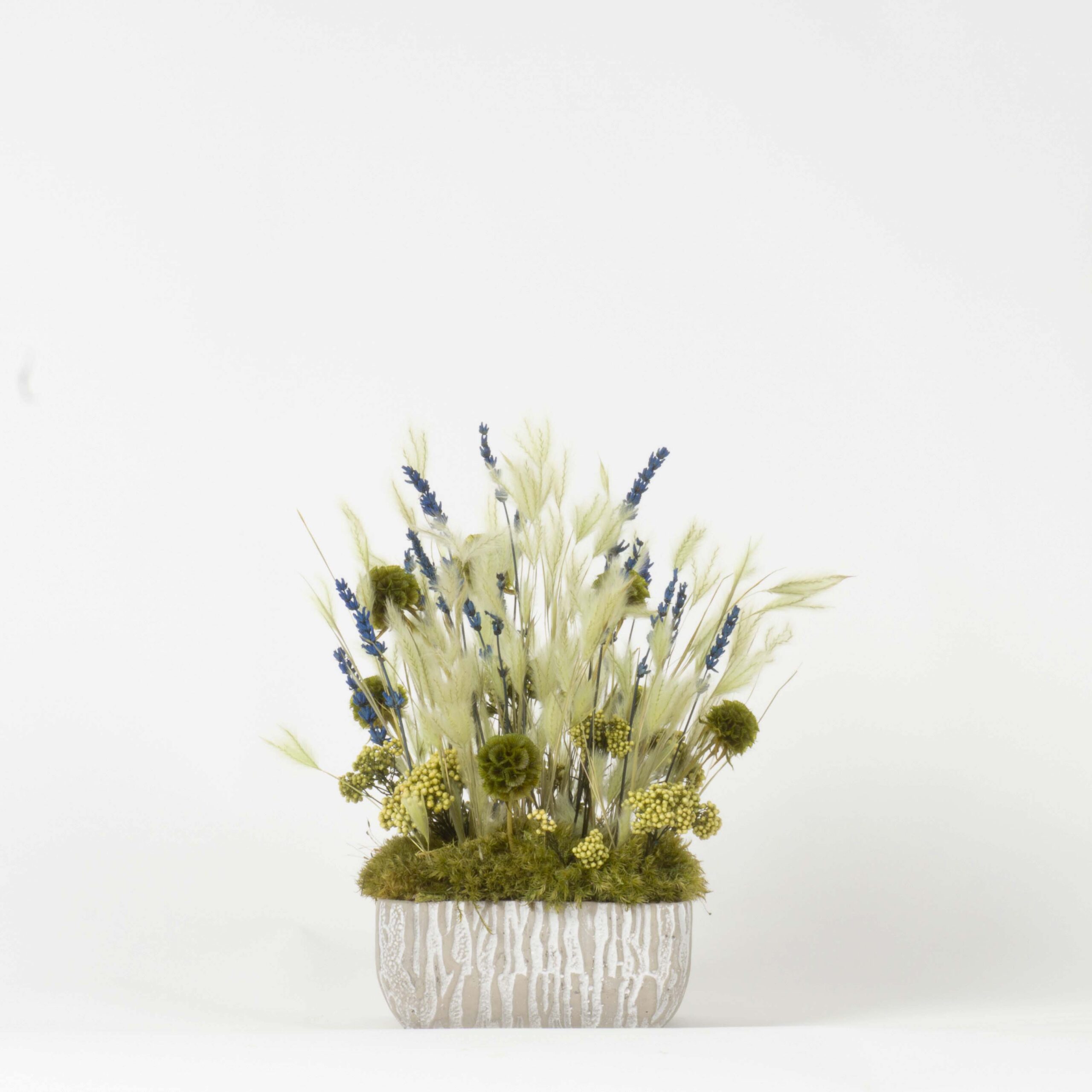 Cubo Light Green